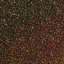 Holographic HTV