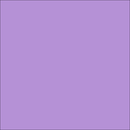 EasyWeed™ 12x12 Sheets (11.8  Actual)