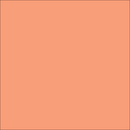 EasyWeed™ 12x12 Sheets (11.8  Actual)