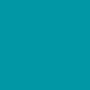 EasyWeed™ 12x12 Sheets (11.8  Actual)
