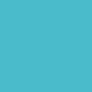 EasyWeed™ 12x12 Sheets (11.8  Actual)