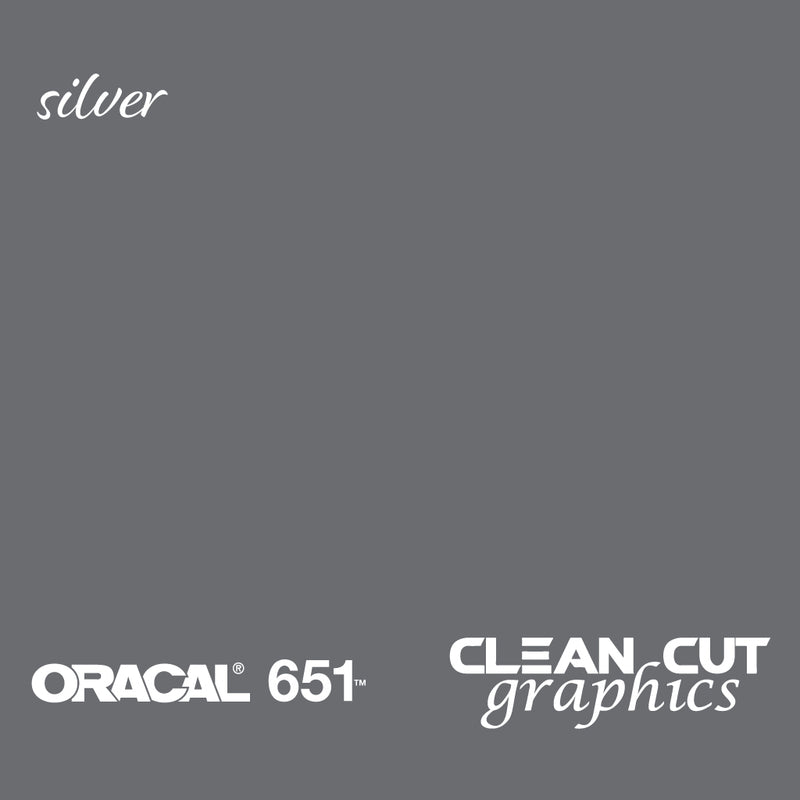 Oracal 651 Glossy Vinyl -Metallic Silver Gray