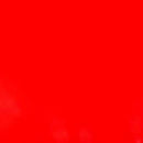 Fluorescent Adhesive Vinyl