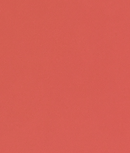 EasyWeed 11.8" x 50 yard Roll - Clean Cut Graphics LLC